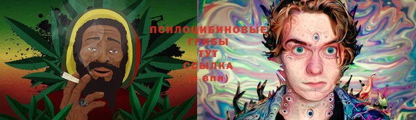 ПСИЛОЦИБИНОВЫЕ ГРИБЫ Белоозёрский