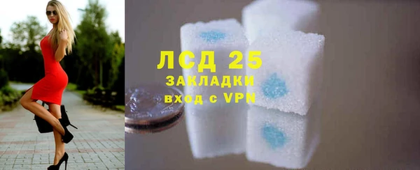 ГАЛЛЮЦИНОГЕННЫЕ ГРИБЫ Беломорск