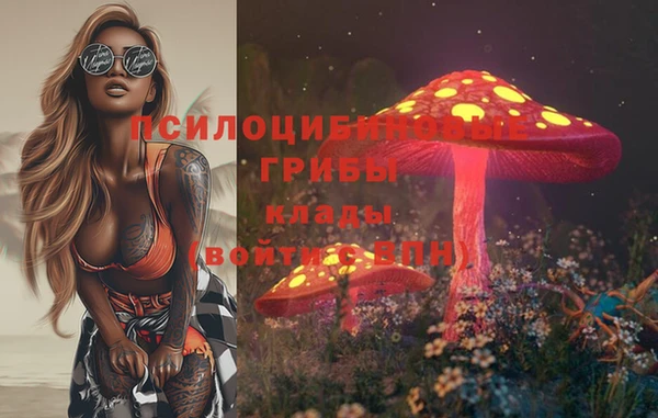 ПСИЛОЦИБИНОВЫЕ ГРИБЫ Белоозёрский