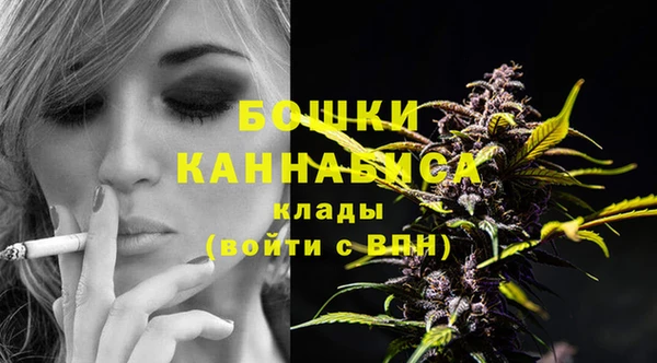 ПСИЛОЦИБИНОВЫЕ ГРИБЫ Белоозёрский