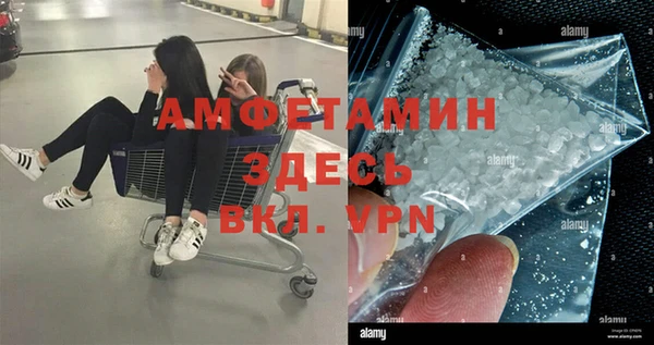 ГАЛЛЮЦИНОГЕННЫЕ ГРИБЫ Беломорск