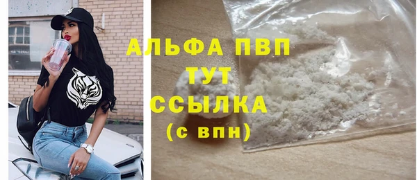 ПСИЛОЦИБИНОВЫЕ ГРИБЫ Белоозёрский