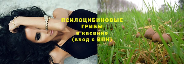 ПСИЛОЦИБИНОВЫЕ ГРИБЫ Белоозёрский
