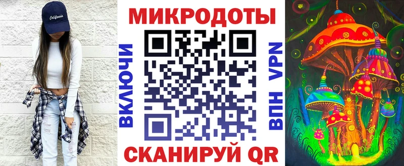 Галлюциногенные грибы Psilocybe  Гатчина 
