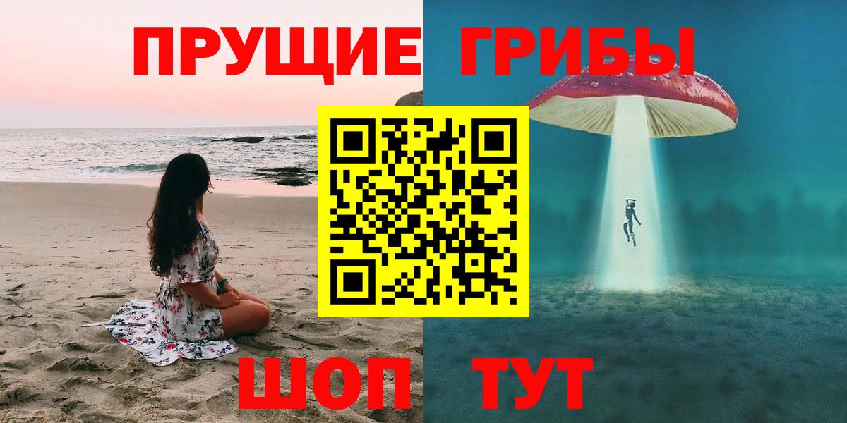 Гатчина  Псилоцибиновые грибы мицелий  Галлюциногенные грибы Psilocybine cubensis  Вход с VPN 