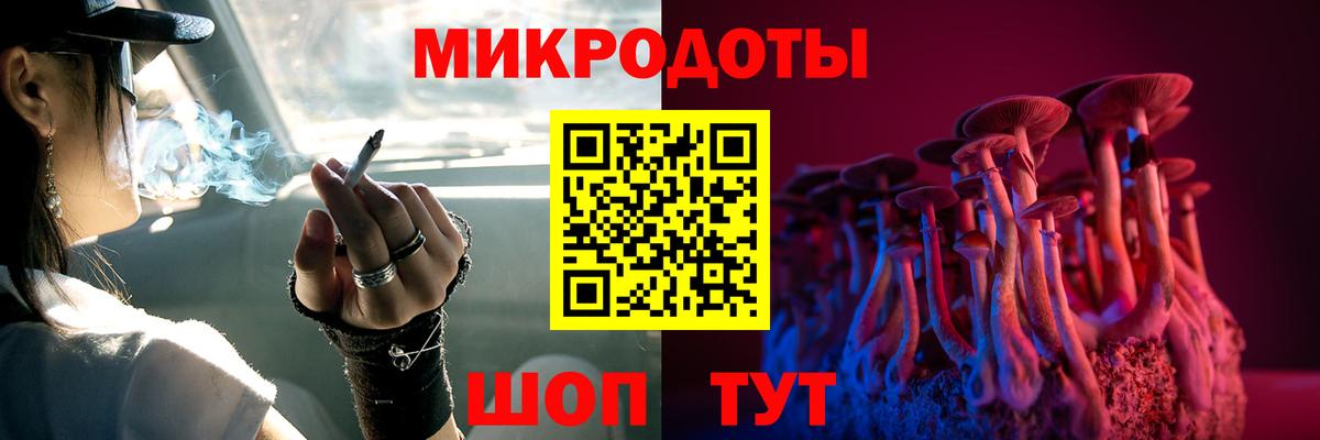 Галлюциногенные грибы Cubensis Гатчина