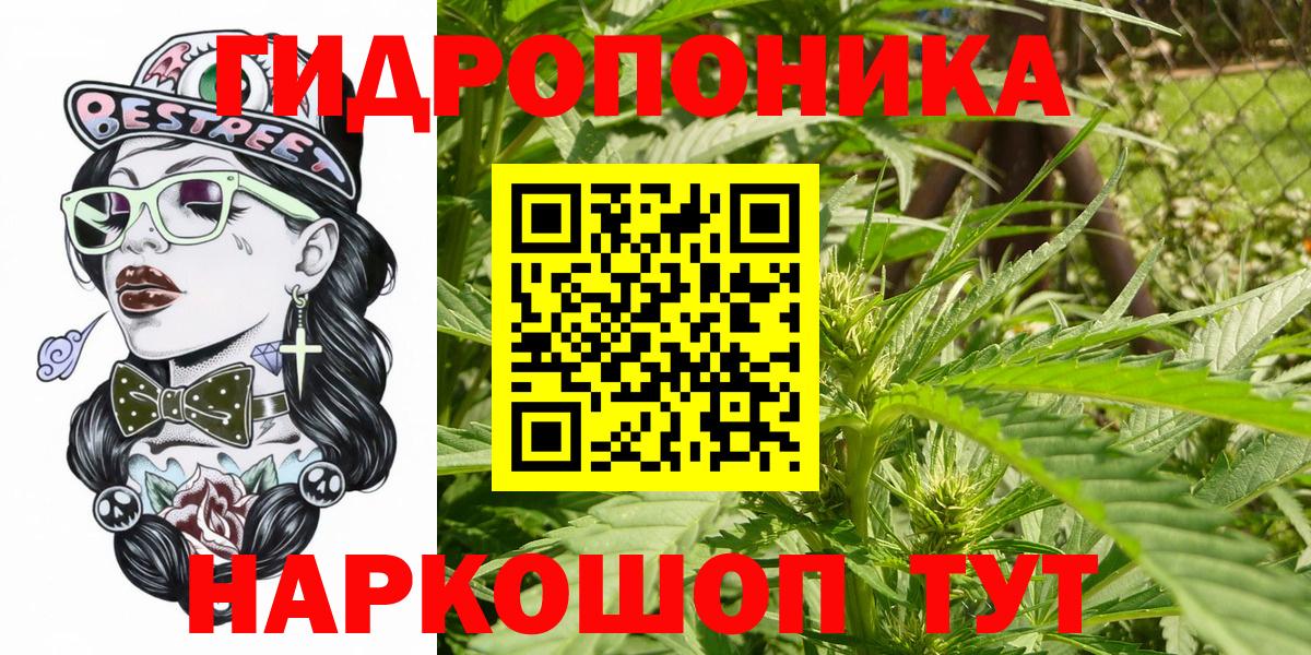 Конопля VHQ Гатчина